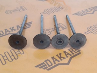 Комплект впускных клапанов 4 шт, ориг. номер 11348473702, BMW X1 2009-2012