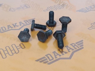 Комплект болтов маховика 6 шт, ориг. номер 90295195, 94500811, 616270, Opel Astra-H 2006-2014