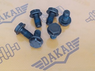 Комплект болтов маховика 6 шт, ориг. номер 90501402, Skoda Rapid 2012-2017