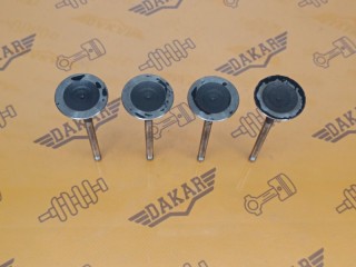 Комплект впускных клапанов 4 шт Volkswagen Passat 2005-2010, 06D109601K