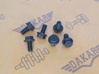 Комплект болтов шестерни распредвала FORD Transit 2006-2014, 1717651