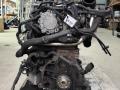 BKD Двигатель AUDI A3 2007г. - фото №6
