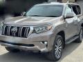 5032, 6791060043E0, 6792060043E0, 6793060073E0, 6794060033E0 накладка на порог TOYOTA LAND CRUISER PRADO 2017г. - фото №15