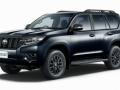 821216AM50, 821216AM51, 5043 коса двс TOYOTA LAND CRUISER PRADO 2020г. - фото №9