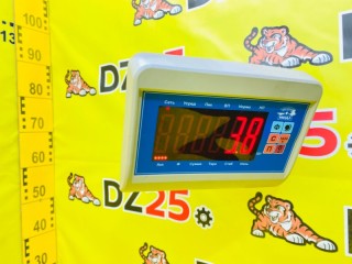 доводчик двери, ориг. номер 85006-28171, 5553, TOYOTA VOXY