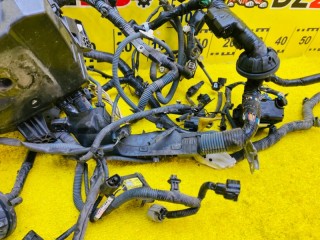 коса под капот, ориг. номер 8211168142, 5632, TOYOTA WISH