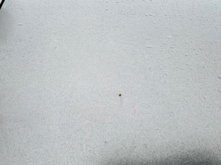 капот, ориг. номер 5330168020, 0028022, TOYOTA WISH 2012-2017