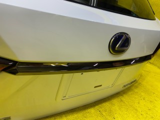 дверь 5я, ориг. номер 6700548730, 4907, 6700548720, LEXUS RX450H/RX450HL/RX350/RX350L/RX300/RX200T 2015-2019