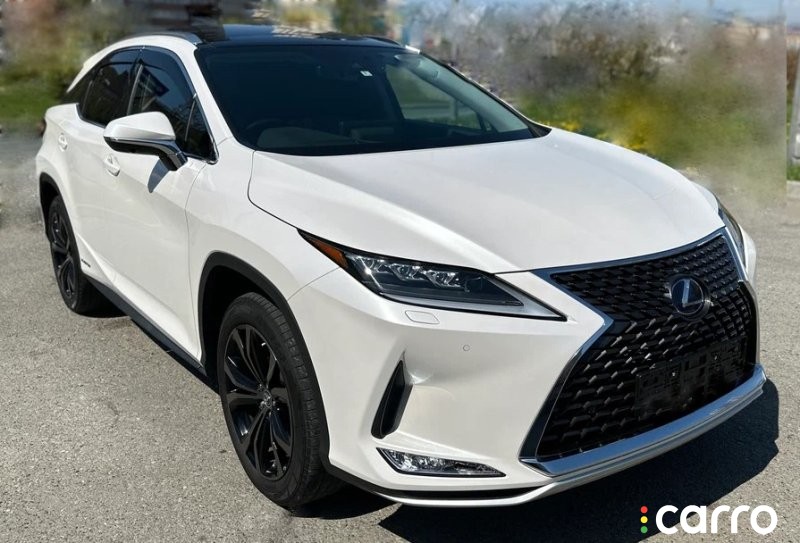 жабо LEXUS RX450H/RX450HL/RX350/RX350L/RX300/RX200T, 4905, фото 7