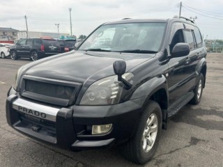 уши, ориг. номер 5001, 879406A210, TOYOTA LAND CRUISER PRADO 2002-2007