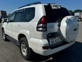зеркало с пятой двери, ориг. номер 4941, 8795060050, TOYOTA LAND CRUISER PRADO