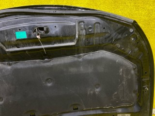 капот, ориг. номер 5000, F510M1LAMA, INFINITI QX56/QX80