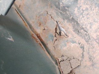 тазик железный, ориг. номер 5143, 62111-81A01, SUZUKI JIMNY, JIMNY SIERRA