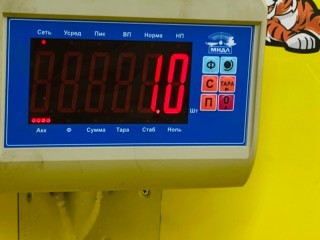 натяжитель ремня генератора, ориг. номер 4ISBE185, 4955475, SO75161, SO75168, SO75496, SO75041, 5273, КАМАЗ 4308/43253/43253С4