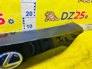 накладка на дверь багажника, ориг. номер 768017-6020C0, 5548, LEXUS CT200H