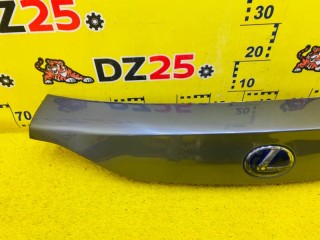 накладка на дверь багажника, ориг. номер 7680176020, 5690, 76801-76020B1, LEXUS CT200H