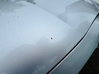 капот, ориг. номер 5836, 53301K0010, TOYOTA YARIS 2017-2020