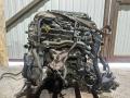 VQ35, VQ35DE двигатель Nissan Murano Z51 2007г. - фото №3