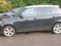 Skoda Fabia 1 поколение [рестайлинг] 2007г. 1.2 л., BZG - фото №4