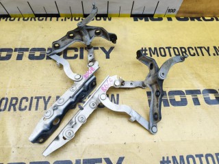 Петли капота, ориг. номер A2218800328, Mercedes-Benz S-Class 2005-2009