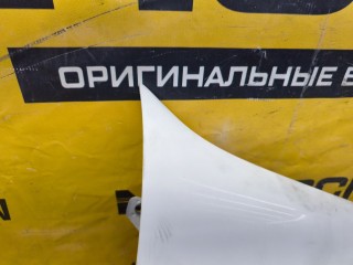 Крыло, ориг. номер A2208800418, Mercedes-Benz S-Class 1998-2002