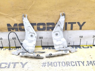Петли капота BMW X5 2010-2013