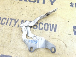 Петли капота, ориг. номер 41617210674, BMW 116i