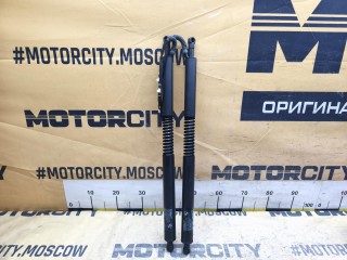 Амортизаторы багажника, ориг. номер 51247298983, BMW 320i