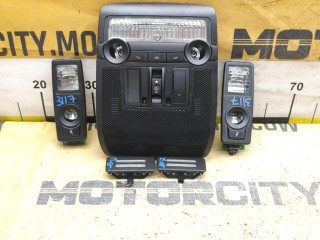 Плафоны салона, ориг. номер 61319225951, BMW X5 2010-2013