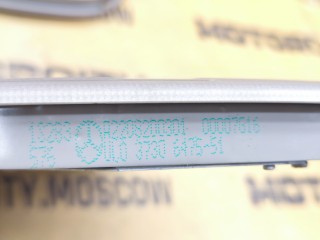 Плафоны салона, ориг. номер A2208200301, Mercedes-Benz S-Class 2002-2005
