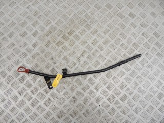 Щуп двигателя, ориг. номер 11437793400, 7793400, M57N, BMW X5-series (E53) 2003-2006