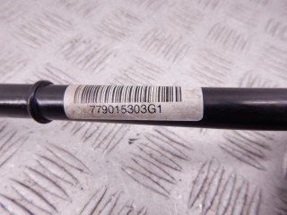 Щуп двигателя, ориг. номер 11437793400, 7793400, M57N, BMW X5-series (E53) 2003-2006