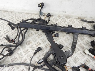 Проводка двигателя, ориг. номер N52N, 12517566466, 7566466, BMW X5-series (E70) 2006-2010