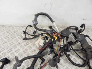 Проводка двигателя, ориг. номер N57, 12517809680, 7809680, BMW 7-series (F01/02) 2008-2012