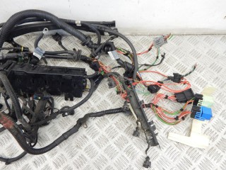 Проводка двигателя, ориг. номер N42, 12517518389, 7518389, BMW 3-series (E46) 1997-2003