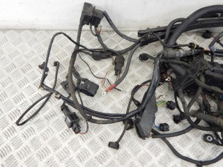 Проводка двигателя, ориг. номер N42, 12517518389, 7518389, BMW 3-series (E46) 1997-2003