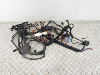 Проводка двигателя, ориг. номер N46, 12537540367, 7540367, 12537530396, 7530396, BMW 3-series (E46) 2001-2006