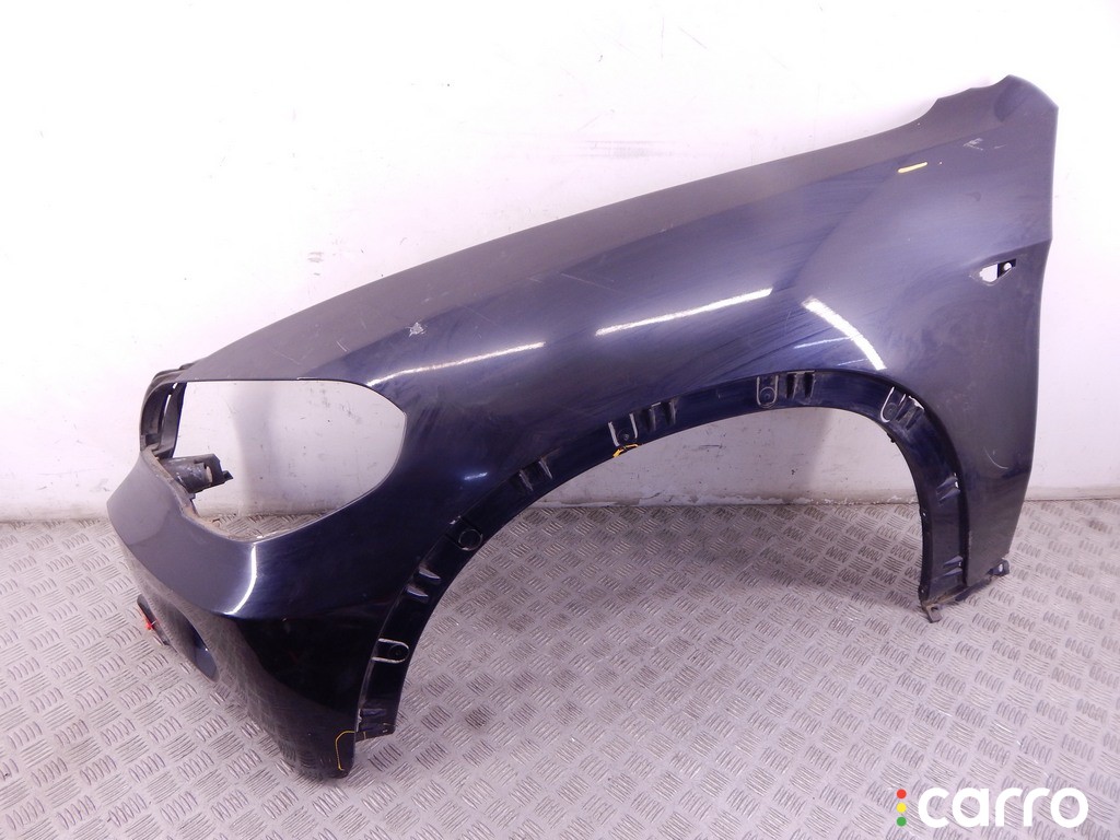 Крыло переднее левое BMW X5-series (E70) 2006-2010, внедорожник 5 дв., M57N2, фото 1