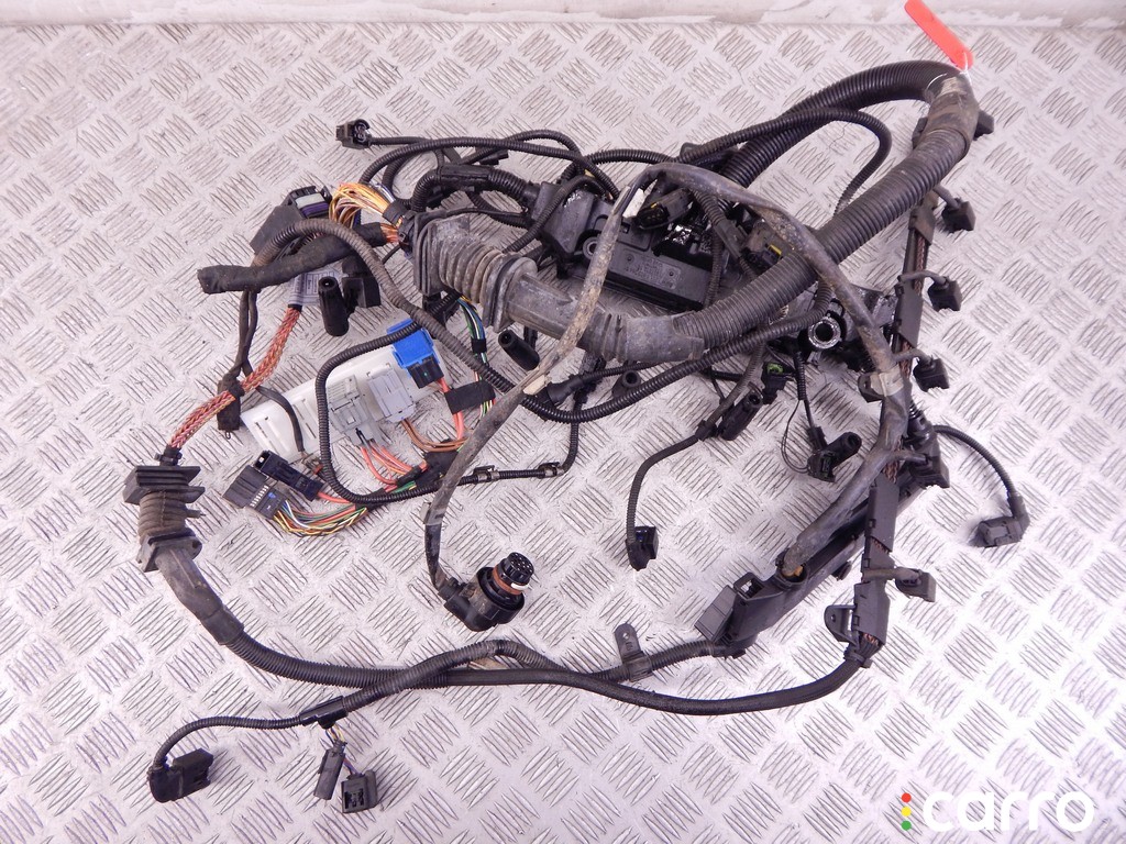 Проводка двигателя BMW X5-series (E70) 2006-2010, M57N2, фото 1