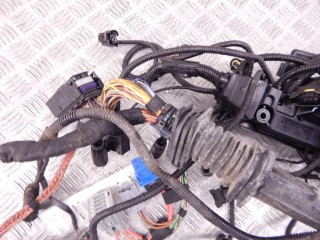 Проводка двигателя, ориг. номер M57N2, 12517810118, 7810118, 12517806081, 7806081, BMW X5-series (E70) 2006-2010
