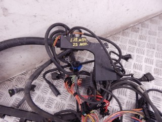 Проводка двигателя, ориг. номер M54, 12517503594, 7503594, BMW 5-series (E39) 2000-2004