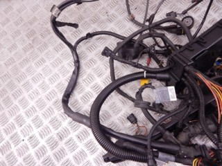 Проводка двигателя, ориг. номер N42, 12517512077, 7512077, 12517515602, 7515602, BMW 3-series (E46) 1997-2003