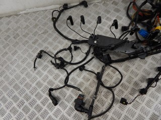 Проводка двигателя, ориг. номер M57N, 12517798045, 7798045, BMW 5-series (E60/61) 2002-2007