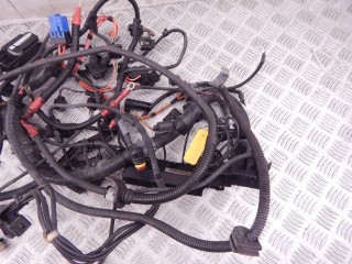 Проводка двигателя, ориг. номер M47N, 12517796808, 7796808, 12517794808, 7794808, 12517790726, 7790726, BMW 3-series (E46) 2001-2006