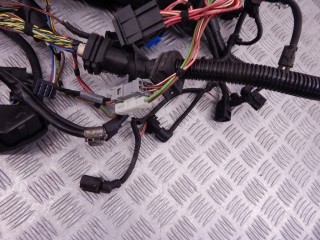 Проводка двигателя, ориг. номер N42, 12517515716, 7515716, BMW 3-series (E46) 1997-2003