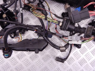 Проводка двигателя, ориг. номер N42, 12517515716, 7515716, BMW 3-series (E46) 1997-2003