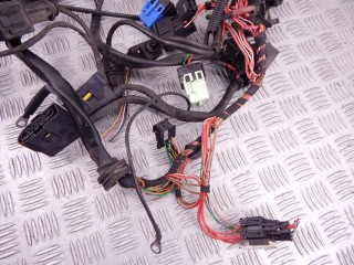 Проводка двигателя, ориг. номер N42, 12517515716, 7515716, BMW 3-series (E46) 1997-2003
