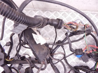Проводка двигателя, ориг. номер N42, 12517515716, 7515716, BMW 3-series (E46) 1997-2003