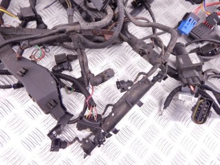 Проводка двигателя, ориг. номер N42, 12517515716, 7515716, BMW 3-series (E46) 1997-2003