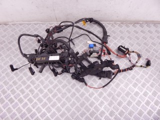 Проводка двигателя, ориг. номер M57N306D2, M57N, 12517796822, 12517790317, 7790317, 7796822, 12517794797, 7794797, BMW 7-series (E65/66) 2001-2005